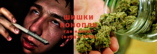 сатива Баксан