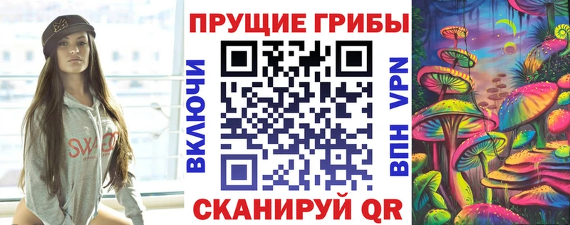 Галлюциногенные грибы Psilocybe Белый